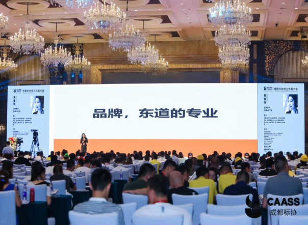 品牌的战略定位、打造及运营管理